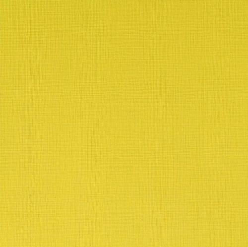 Winsor & Newton Professional Acrylic Paint Cadmium Lemon 60ml