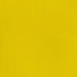 Winsor & Newton Professional Acrylic Paint Cadmium Yellow Light 60ml