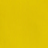 Winsor & Newton Professional Acrylic Paint Cadmium Yellow Light 60ml