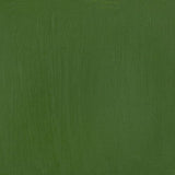 Winsor & Newton Professional Acrylic Paint Chrome Green 60ml