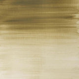 Winsor & Newton Professional Acrylic Paint Davy's Grey 60ml