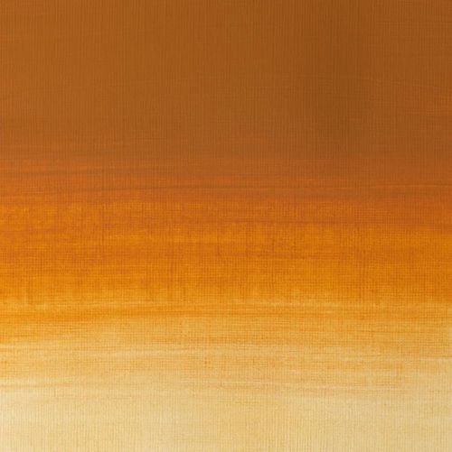 Winsor & Newton Professional Acrylic Paint Gold Ochre 60ml