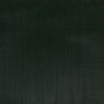 Winsor & Newton Professional Acrylic Paint Hookers Green