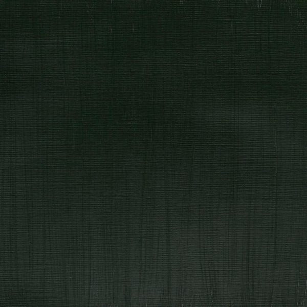 Winsor & Newton Professional Acrylic Paint Hookers Green