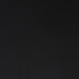 Winsor & Newton Professional Acrylic Paint Ivory Black 60ml