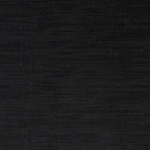 Winsor & Newton Professional Acrylic Paint Ivory Black