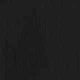 Winsor & Newton Professional Acrylic Paint Mars Black 60ml