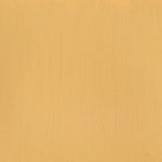 Winsor & Newton Professional Acrylic Paint Naples Yellow 60ml