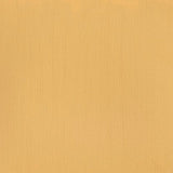 Winsor & Newton Professional Acrylic Paint Naples Yellow 60ml