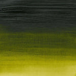 Winsor & Newton Professional Acrylic Paint Permanent Sap Green