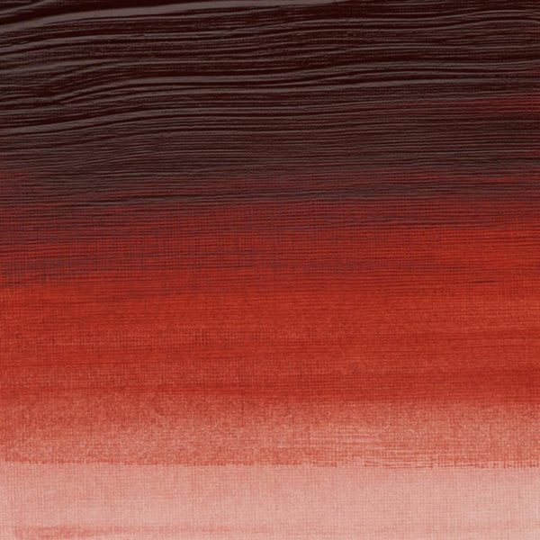 Winsor & Newton Professional Acrylic Paint Quinacridone Burnt Orange