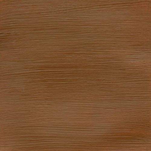 Winsor & Newton Professional Acrylic Paint Raw Sienna 60ml