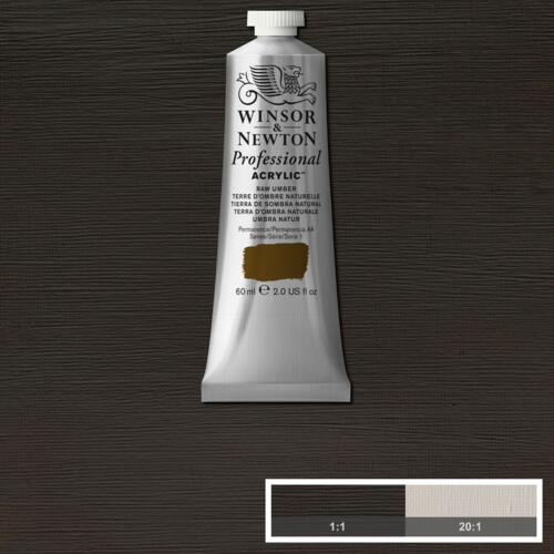 Winsor & Newton Professional Acrylic Paint Raw Umber