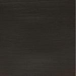 Winsor & Newton Professional Acrylic Paint Raw Umber