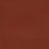 Winsor & Newton Professional Acrylic Paint Red Iron Oxide 60ml