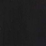 Winsor & Newton Professional Acrylic Paint S1 Mars Black 200ml