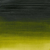 Winsor & Newton Professional Acrylic Paint S3 Permanent Sap Green 200ml