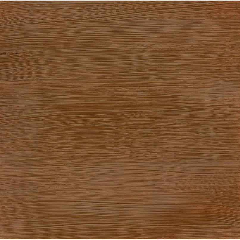 Winsor & Newton Professional Acrylic Paint Raw Sienna