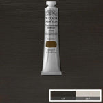 Winsor & Newton Professional Acrylic Paint S1 Raw Umber 200ml