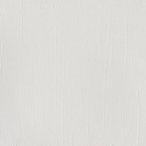 Winsor & Newton Professional Acrylic Paint S1 Titanium White 200ml