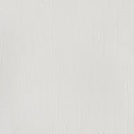 Winsor & Newton Professional Acrylic Paint S1 Titanium White 200ml