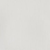 Winsor & Newton Professional Acrylic Paint S1 Titanium White 200ml