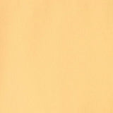 Winsor & Newton Designer Gouache Paint S1 Naples Yellow 14ml