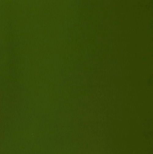 Winsor & Newton Designer Gouache Paint S2 Olive Green 14ml