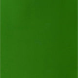 Winsor & Newton Designer Gouache Paint S2 Sap Green 14ml