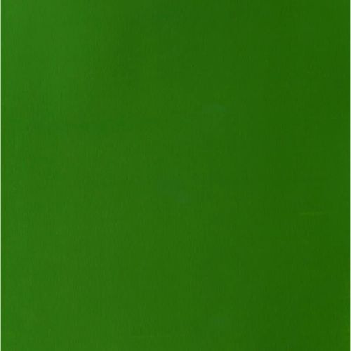Winsor & Newton Designer Gouache Paint S2 Sap Green 14ml