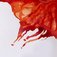 Winsor & Newton Drawing Ink Burnt Sienna