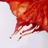 Winsor & Newton Drawing Ink Burnt Sienna 14ml