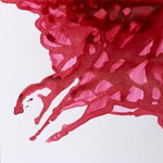 Winsor & Newton Drawing Ink Deep Red 14ml