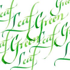 Winsor & Newton Calligraphy Ink Leaf Green 30ml
