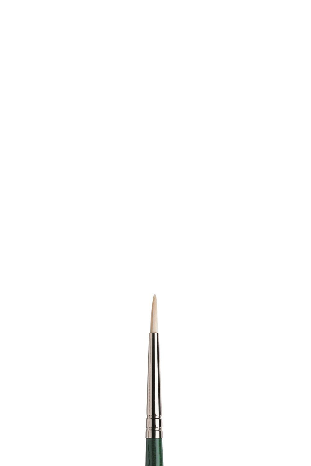 Winsor & Newton Winton Brush Long Handle Round
