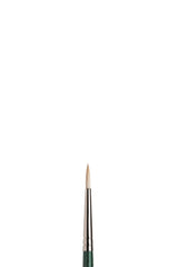 Winsor & Newton Winton Brush Long Handle Round