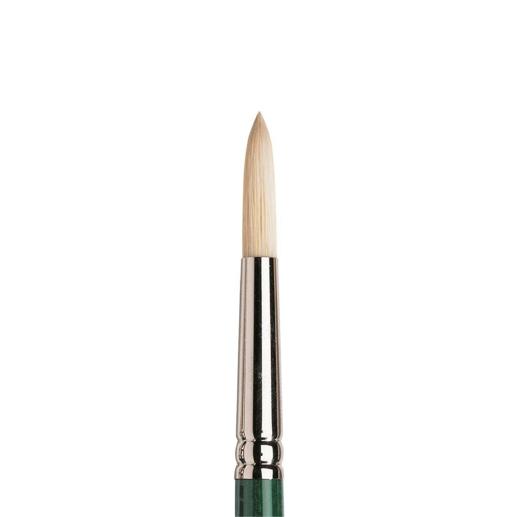 Winsor & Newton Winton Brush Long Handle Round