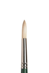 Winsor & Newton Winton Brush Long Handle Round