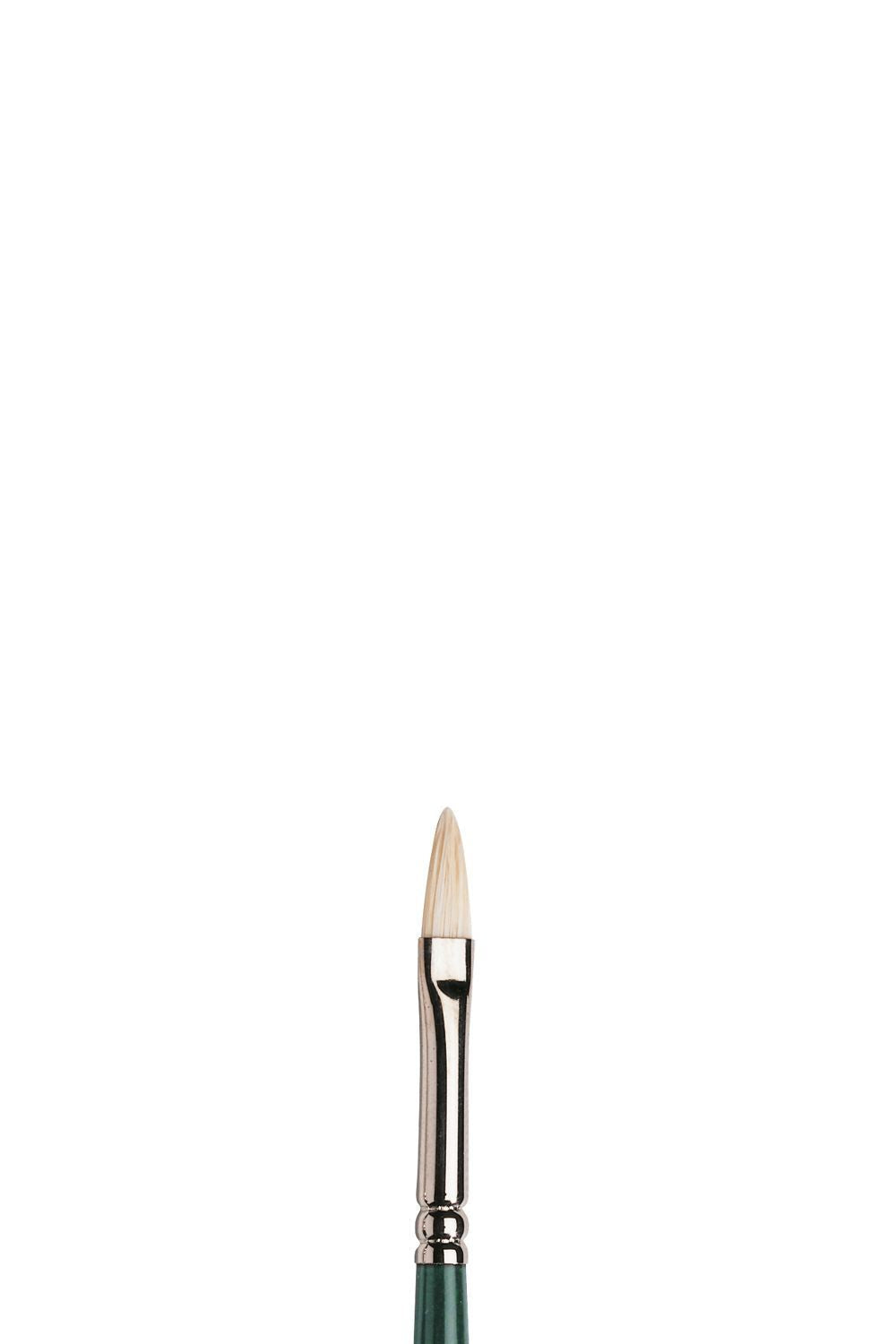Winsor & Newton Winton Brush Filbert