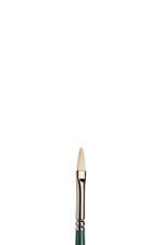 Winsor & Newton Winton Brush Filbert