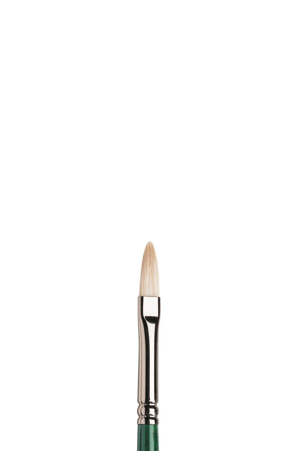 Winsor & Newton Winton Brush Filbert