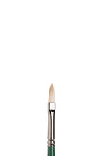 Winsor & Newton Winton Brush Filbert