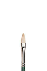 Winsor & Newton Winton Brush Filbert