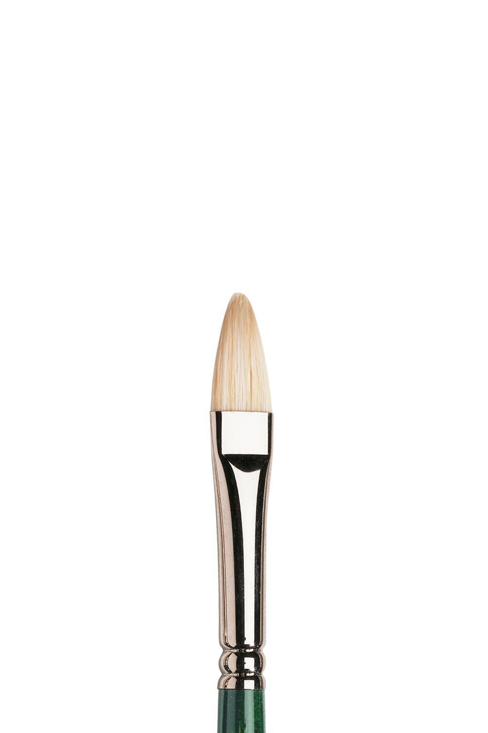 Winsor & Newton Winton Brush Filbert