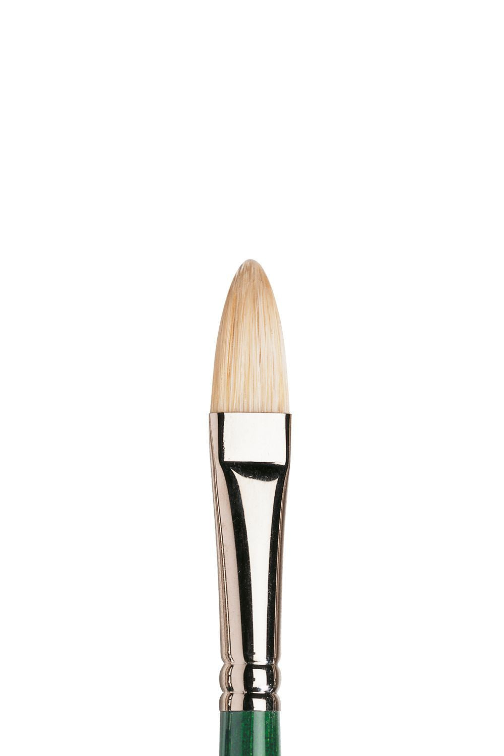 Winsor & Newton Winton Brush Filbert