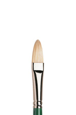 Winsor & Newton Winton Brush Filbert
