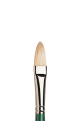 Winsor & Newton Winton Brush Filbert