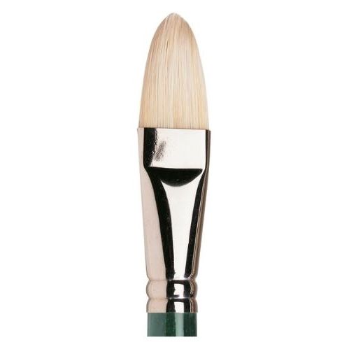 Winsor & Newton Winton Brush Filbert 12