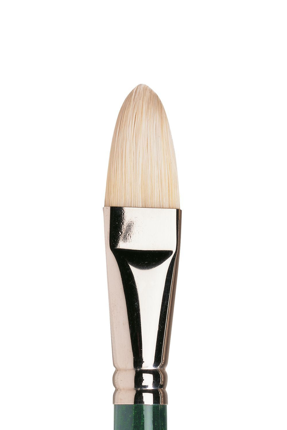 Winsor & Newton Winton Brush Filbert