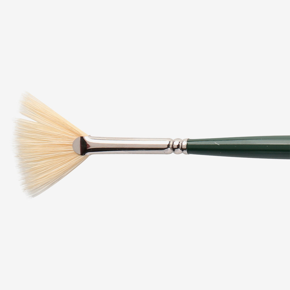 Winsor & Newton Winton Brush Fan